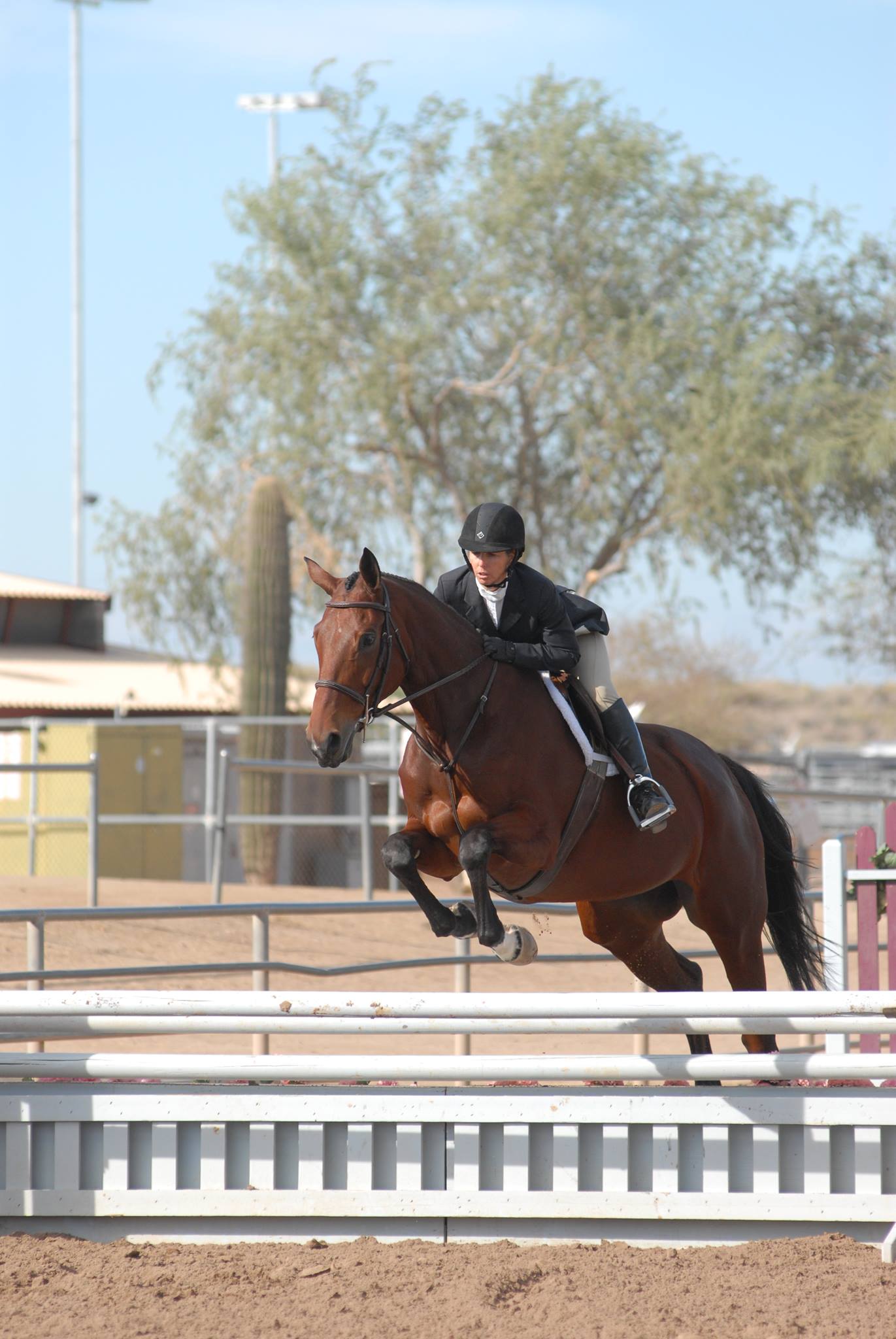 Four Reel Farms, Phoenix Arizona 